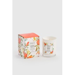 Golden Wattle - Vivante Australiana Soy Wax Candle 230g