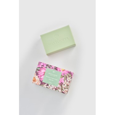 Boronia& Paper Daisy - Waxflower Body Bar 200g