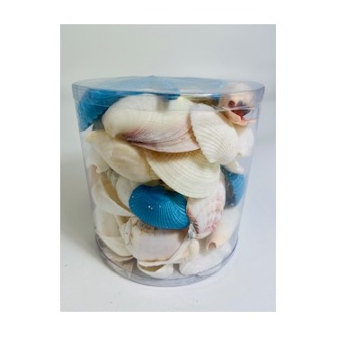Aqua/White - Cylinder of shells - 11.5 x 11.5 cm