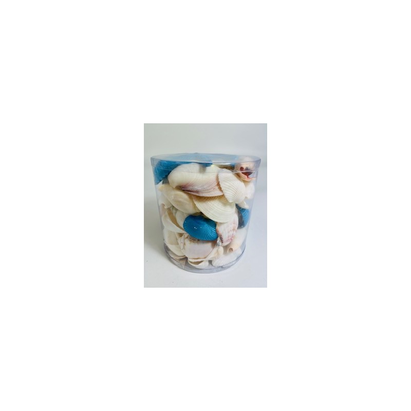 Aqua/White - Cylinder of shells - 11.5 x 11.5 cm