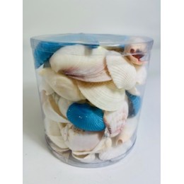 Aqua/White - Cylinder of shells - 11.5 x 11.5 cm