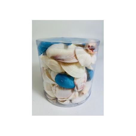 Aqua/White - Cylinder of shells - 11.5 x 11.5 cm