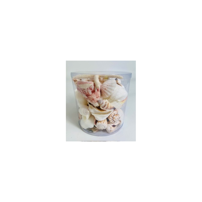 Pink/White - Cylinder of shells - 11.5 x 11.5 cm
