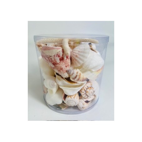 Pink/White - Cylinder of shells - 11.5 x 11.5 cm