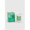 Under The Mistletoe - Vivante Christmas Soy Blend Candle 230g