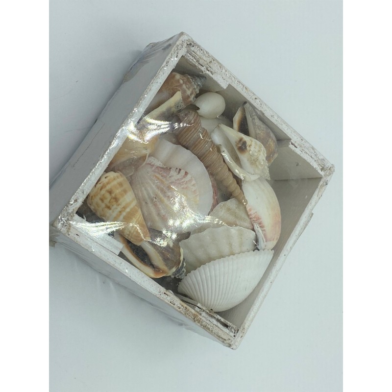 Small White Shell Box