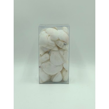 Mixed White Shells in PVC Box