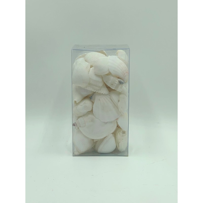 Mixed White Shells in PVC Box