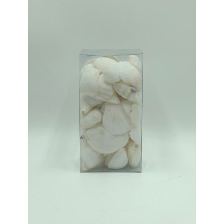 Mixed White Shells in PVC Box