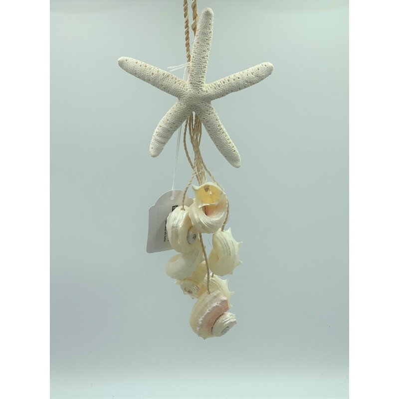 Litob Cluster with Starfish