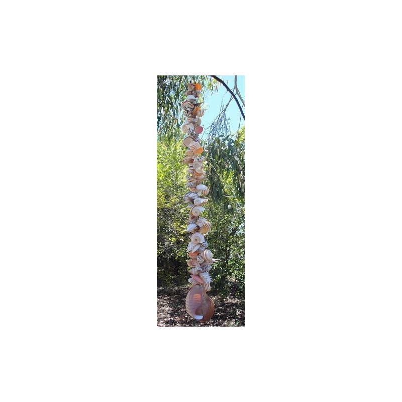 Assorted Heavy Shell Cluster 70cm