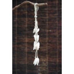 Vertagus Shell Hanging
