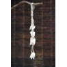 Vertagus Shell Hanging