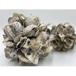 Large Oyster Ball 20cm