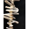 Driftwood Strand Whitewashed with Small Sea Shells - 8x180cm