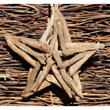 Natural Driftwood Star - 25cm