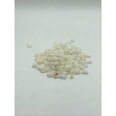 Bubbles Shells - 1kg