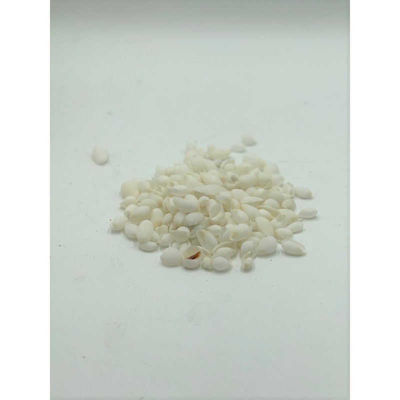 Bubbles Shells - 1kg