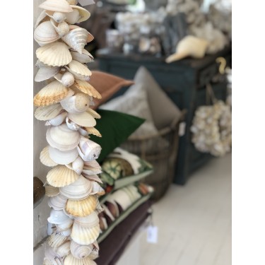 All White Shell Cluster - 70cm