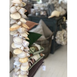 All White Shell Cluster - 70cm