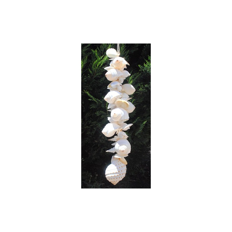 All White Shell Cluster - 75cm