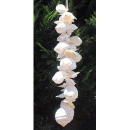 All White Shell Cluster - 75cm