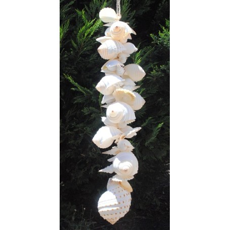 All White Shell Cluster - 75cm