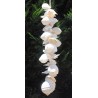 All White Shell Cluster - 75cm
