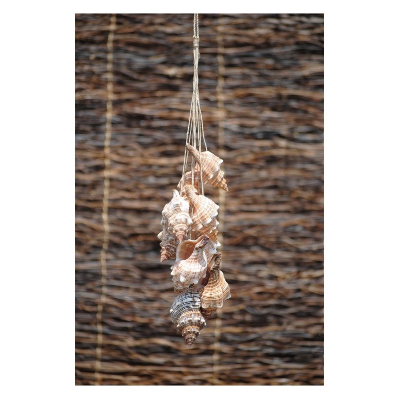 Fox Shell Hanging 60cm