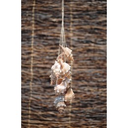 Fox Shell Hanging 60cm