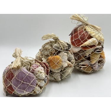 Shells in Abaca Net 350g