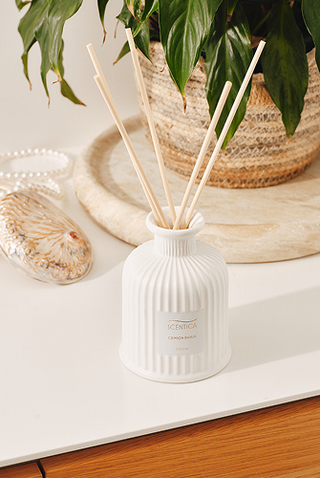 Scentica Diffusers