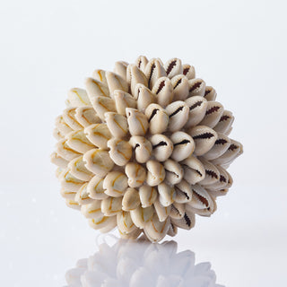Shell Ball Annulus 10cm