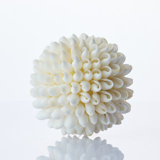 Shell Ball Bubbles 10cm