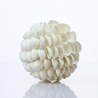 Shell Ball - 10 cm - Clamrose White