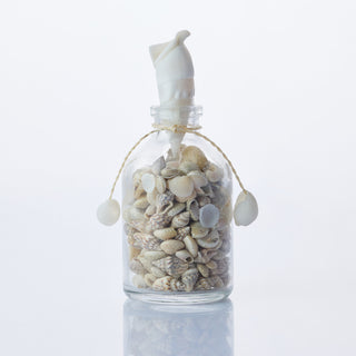 Small Shells in Bottle