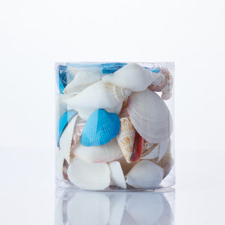 Aqua/White Cylinder of Shells