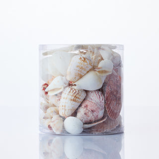 Pink/White Cylinder of Shells