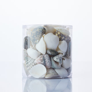 White/Green/Pearl Cylinder of Shells