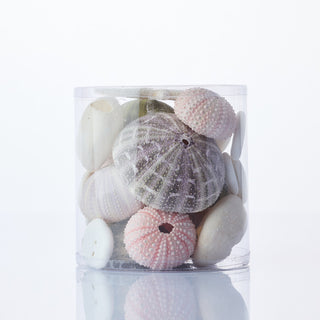 Cylinder of Sea Urchins Mixed