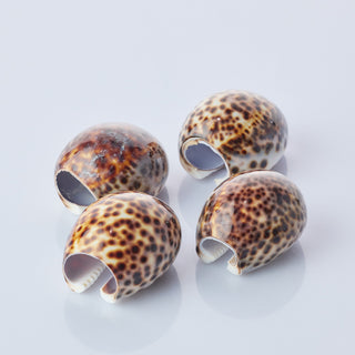 Cyprea Tigris Napkin Rings 4 Pack