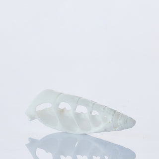Vertagus Slices Approx 3cm