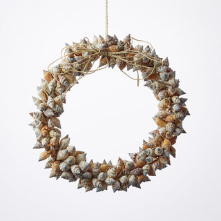Urceus Shell Wreath