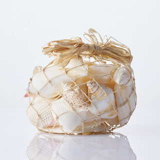 White Shells in Abaca 500g