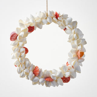 Arca and Pecten Wreath