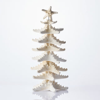 Philippine Starfish Tree