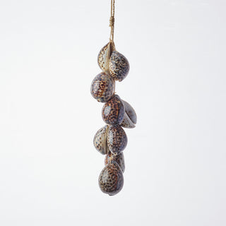 Tiger Cowrie Shell Hanging
