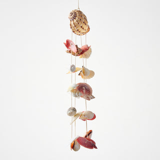 Harpa Shell Wind Chime