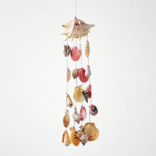 Lambis Shell Wind Chime