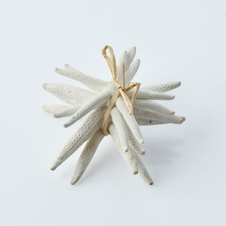 Finger Starfish Bundle